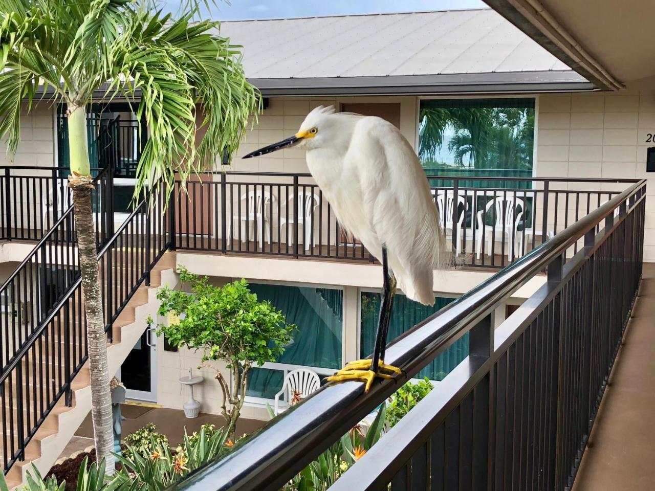 Caribbean Beach Club フォートマイヤーズビーチ エクステリア 写真